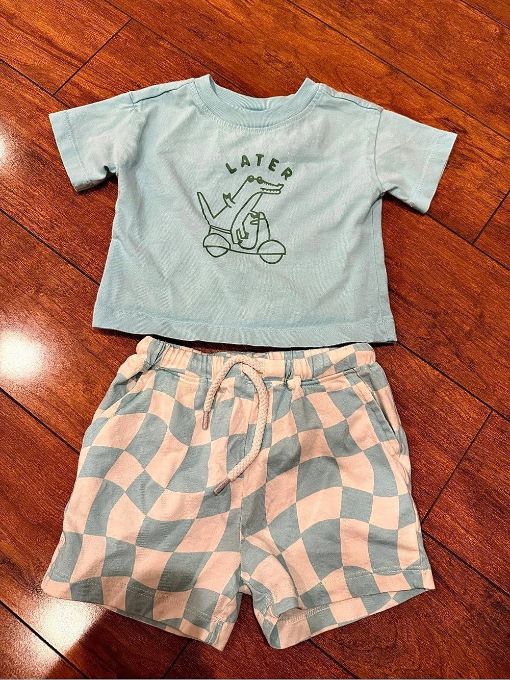Hanna Andersson Relaxed Fit Graphic T-Shirt & Shorts Set, 12-18M, 100% cotton